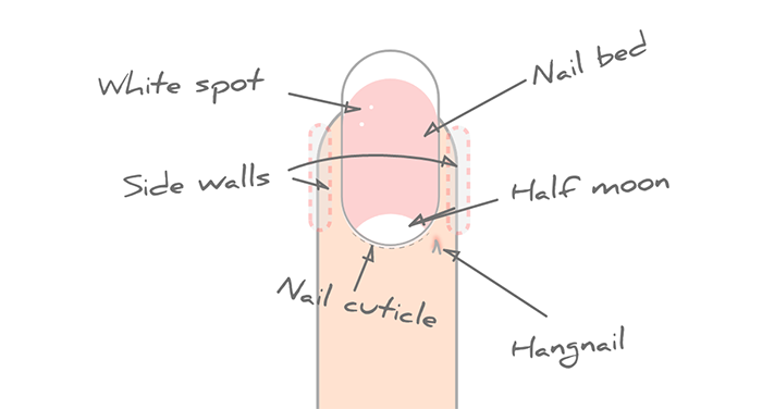 The Dangers of Nail Infections